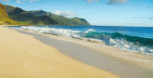 Elephant Beach speedboat water sports waves